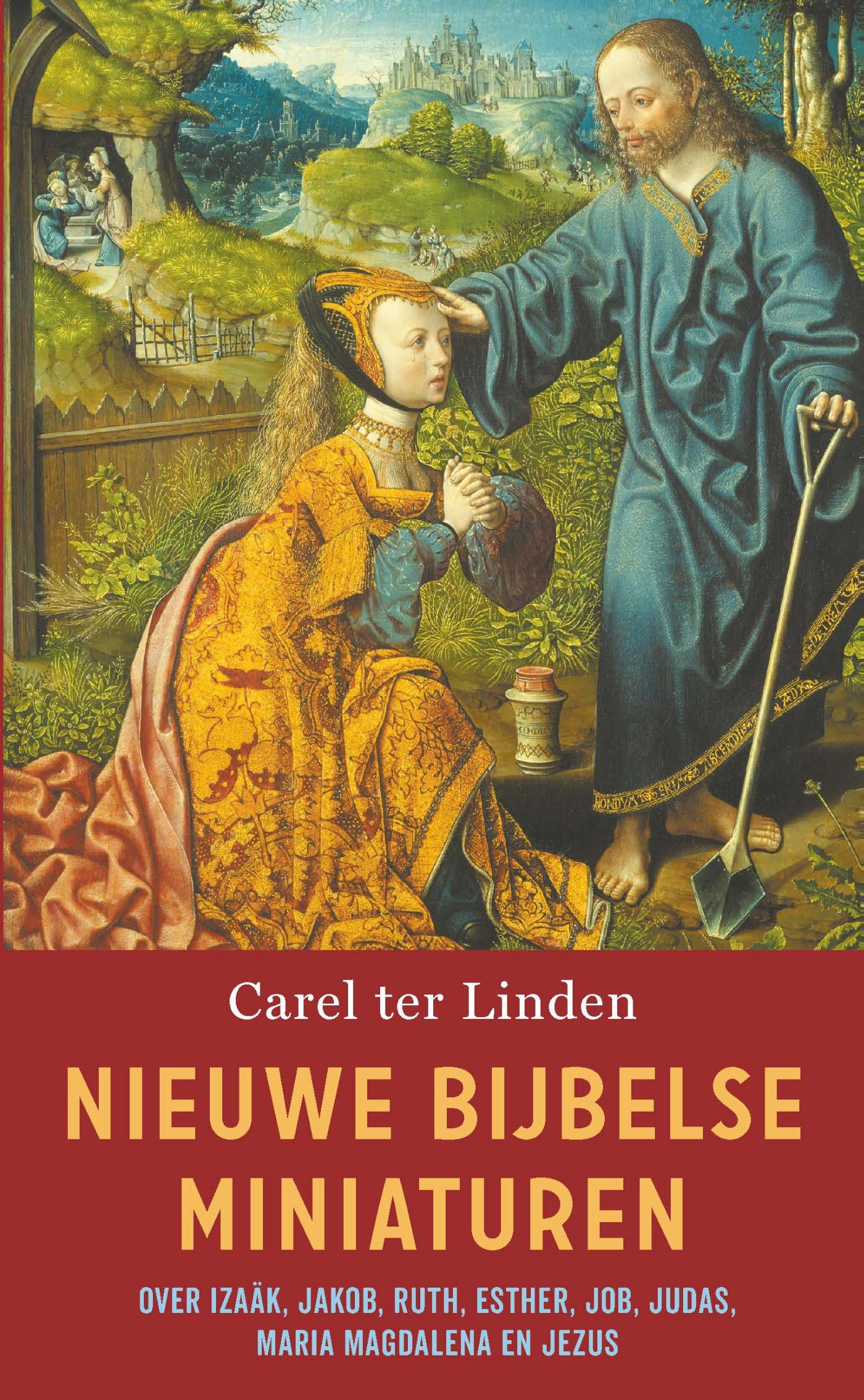 Omslag van Nieuwe Bijbelse miniaturen