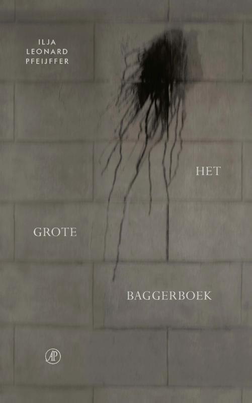 Omslag van Het grote baggerboek