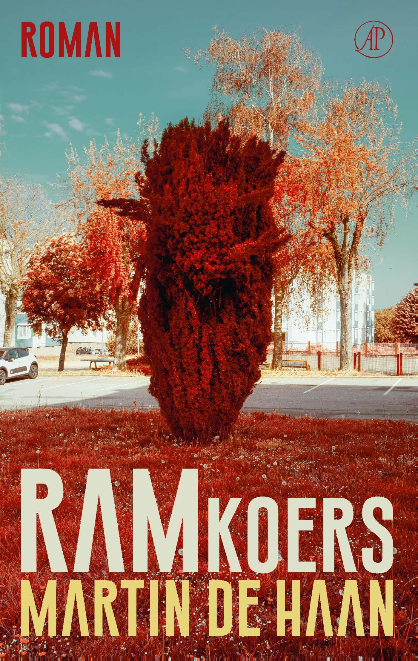 Omslag van Ramkoers