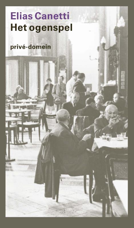 Omslag van Het ogenspel