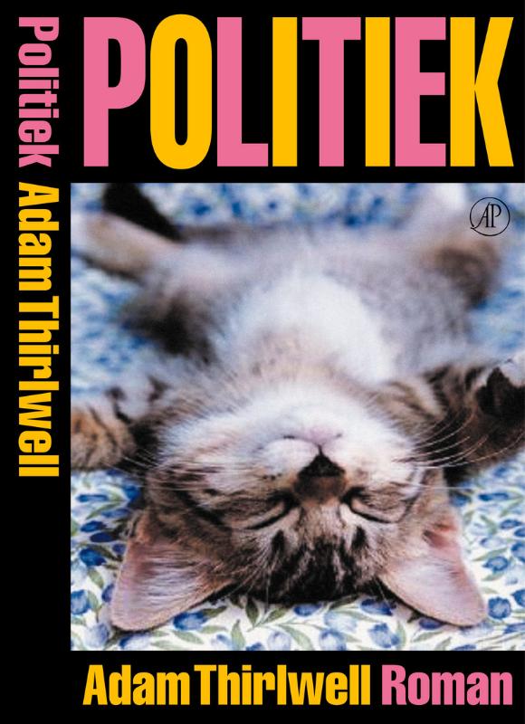 Omslag van Politiek