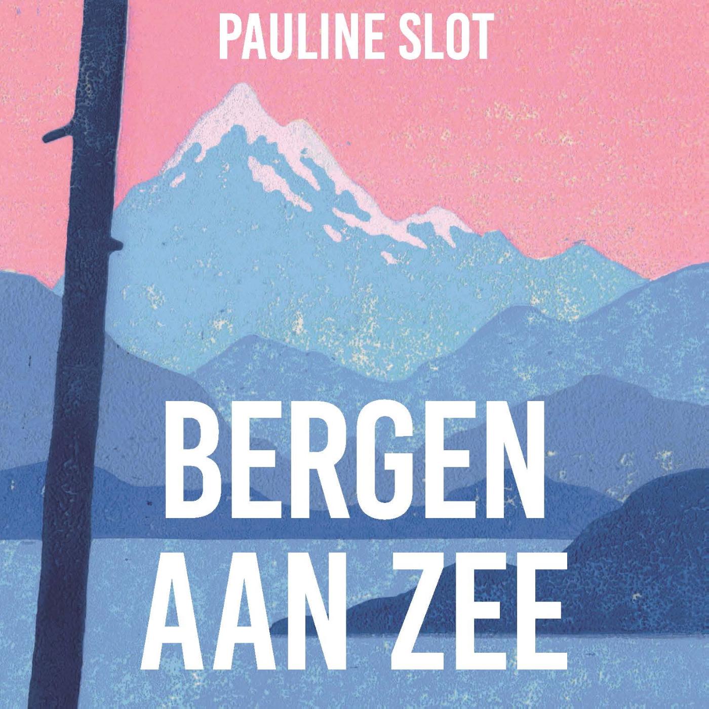 Omslag van Bergen aan zee