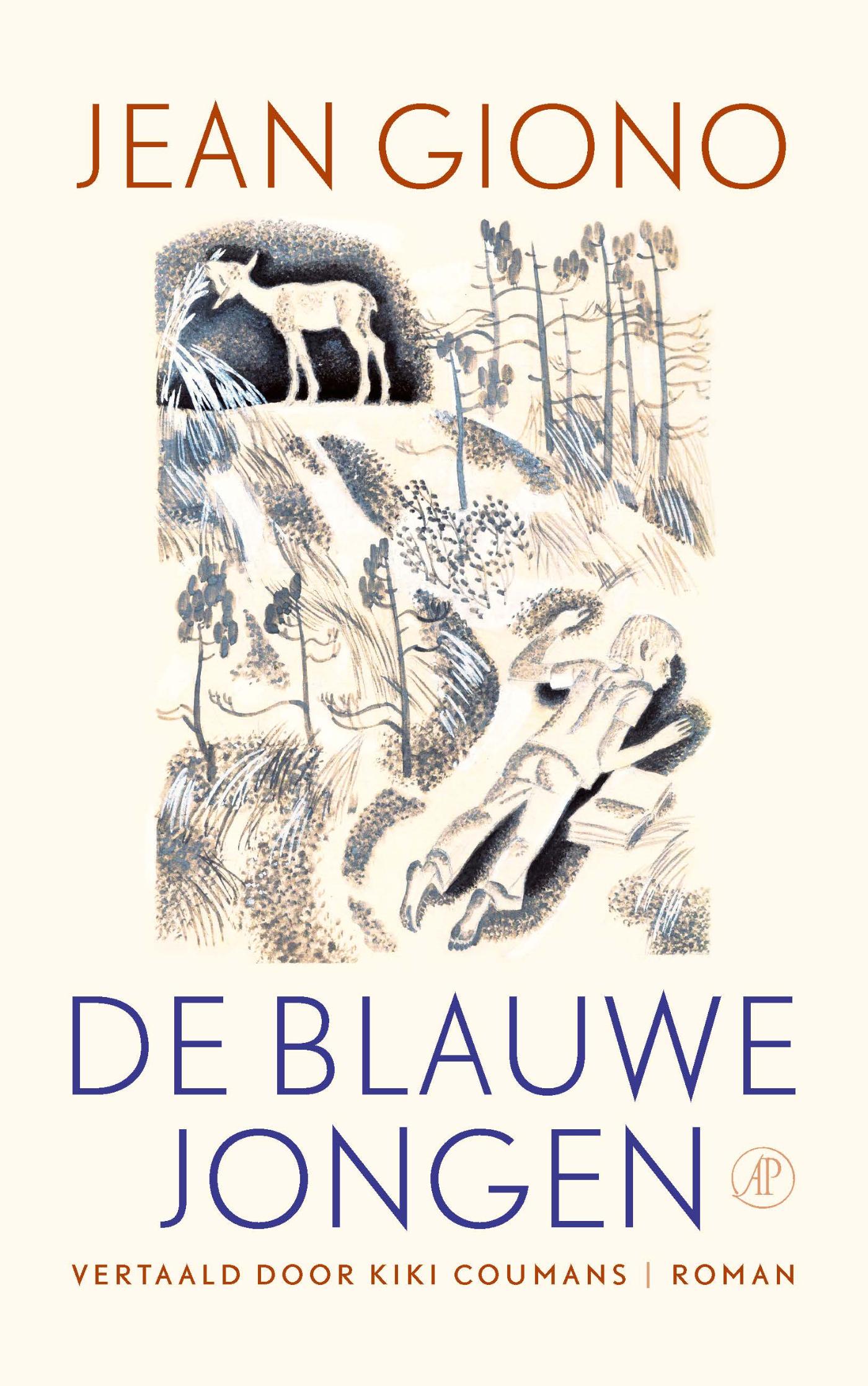 Omslag van De blauwe jongen