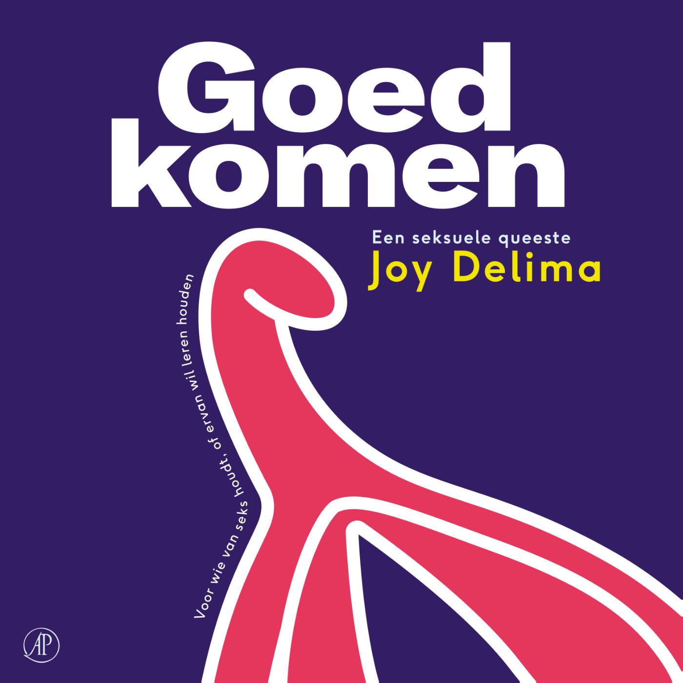 Omslag van Goed komen