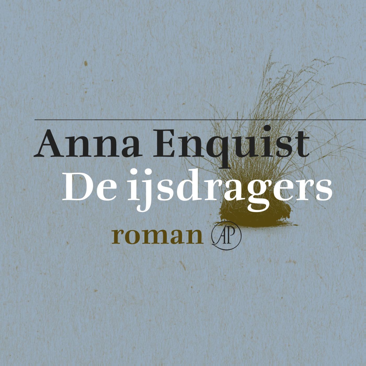 Omslag van De ijsdragers