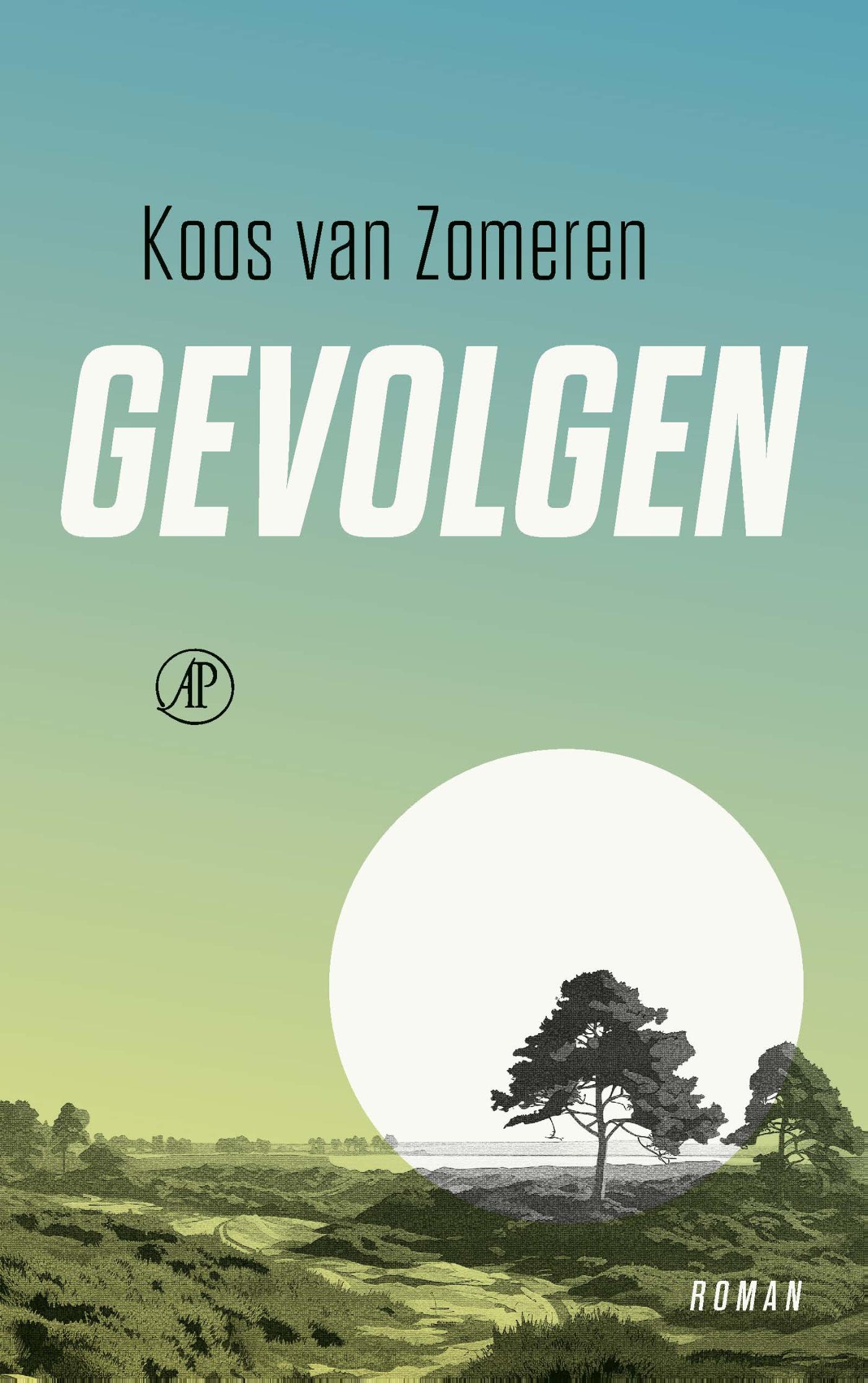 Omslag van Gevolgen