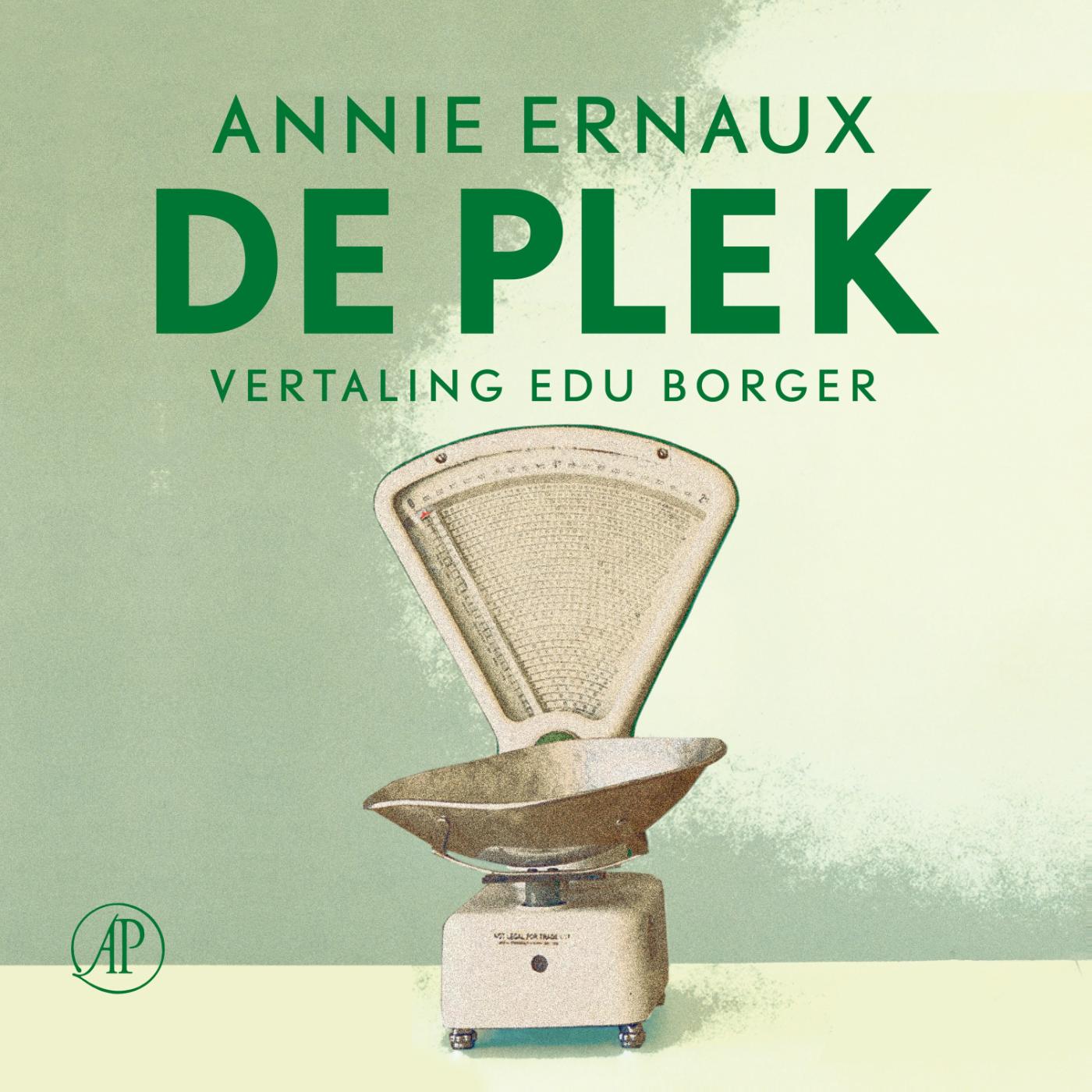 Omslag van De plek