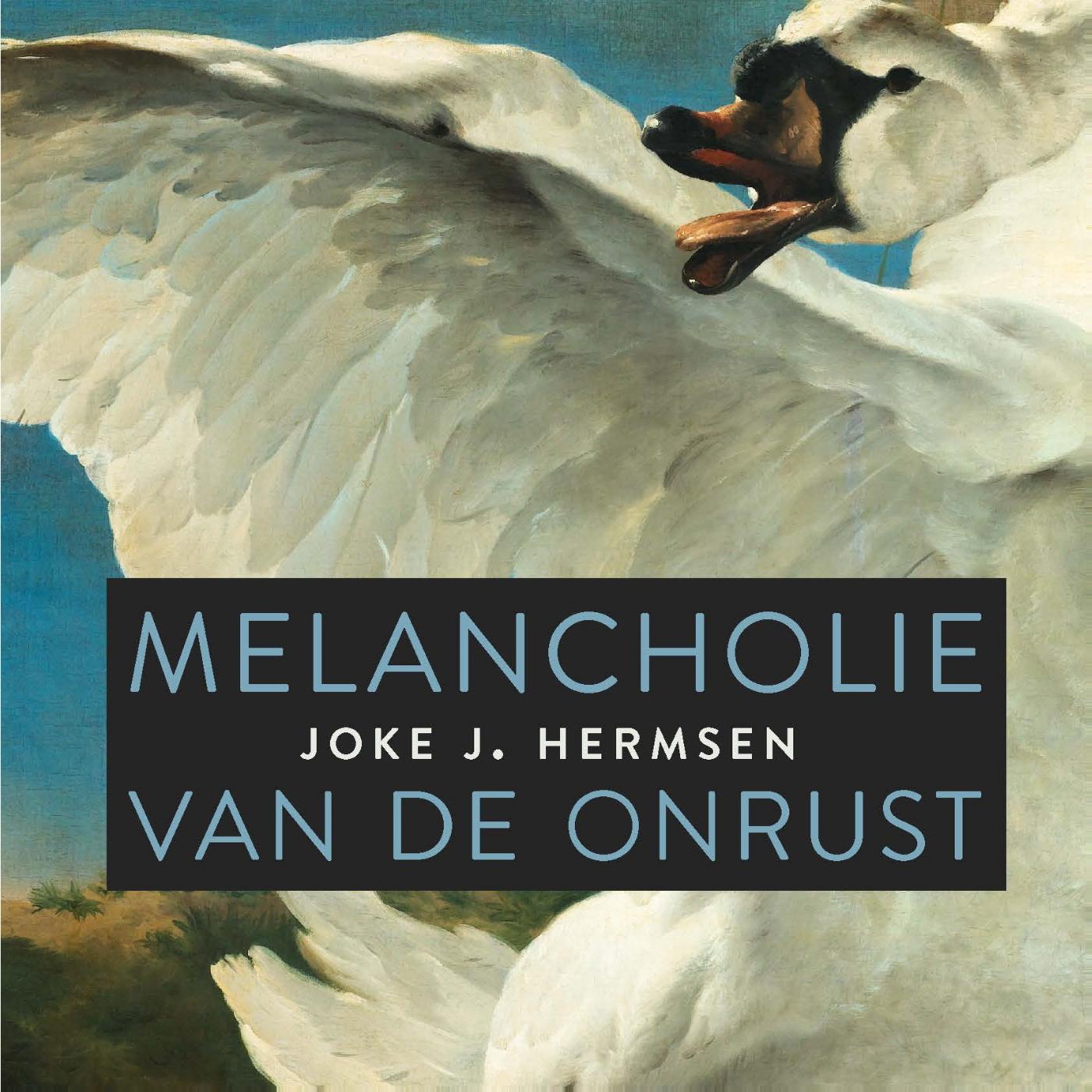 Omslag van Melancholie van de onrust