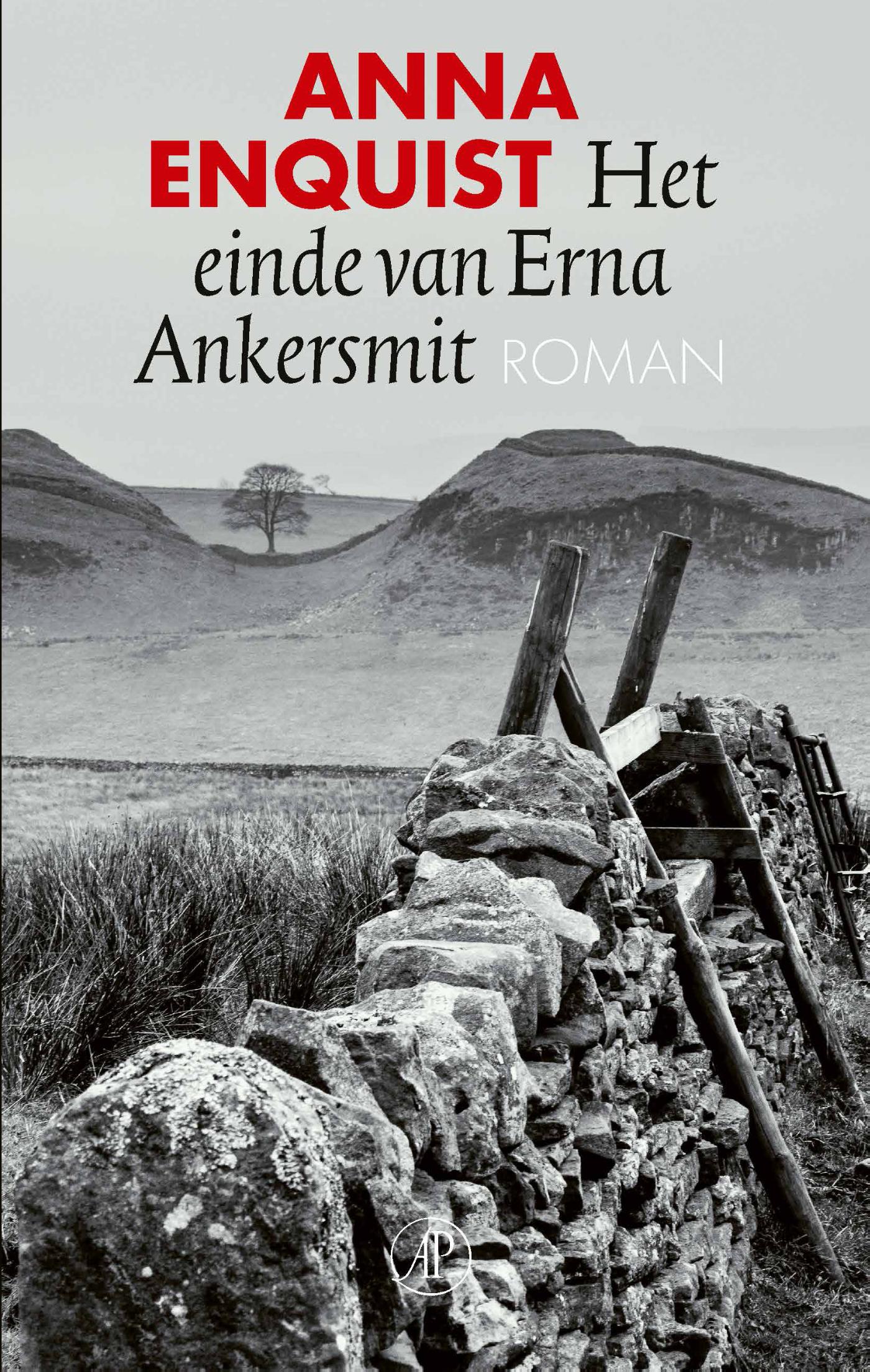 Omslag van Het einde van Erna Ankersmit