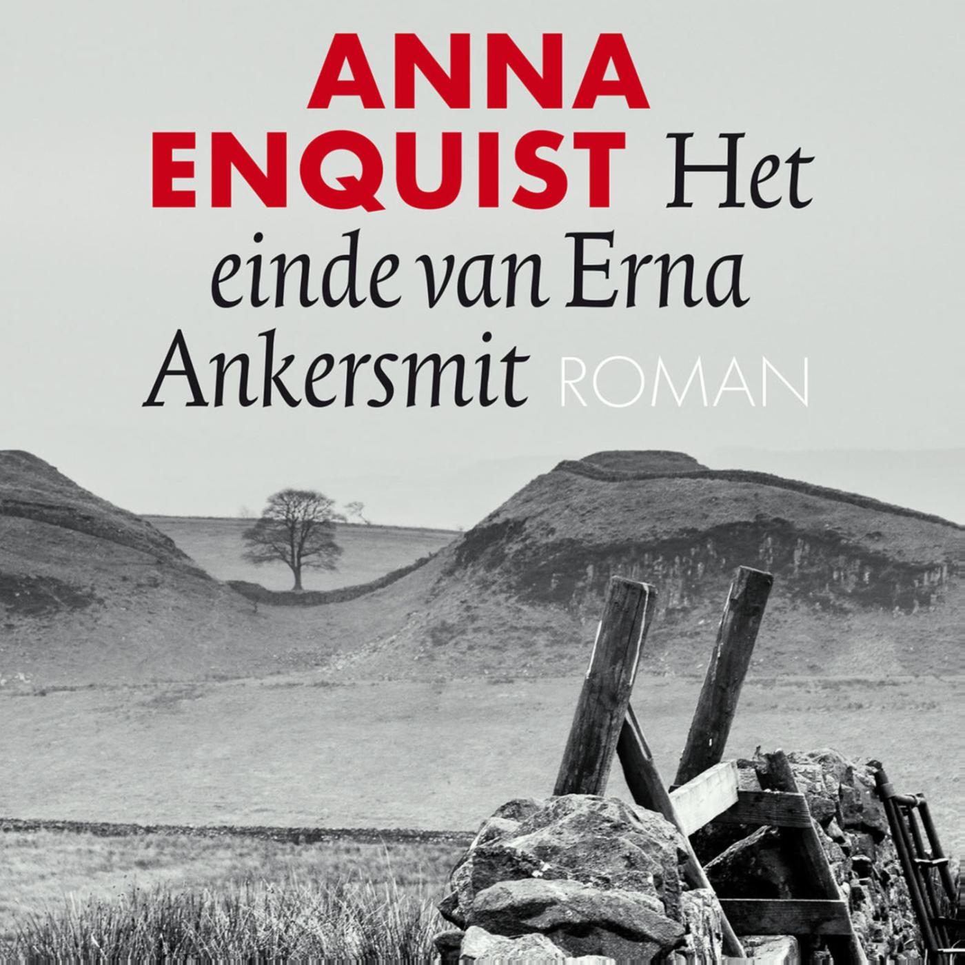Omslag van Het einde van Erna Ankersmit