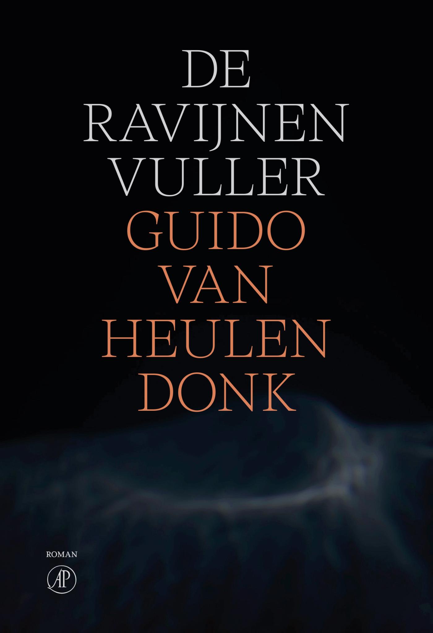 Omslag van De ravijnenvuller