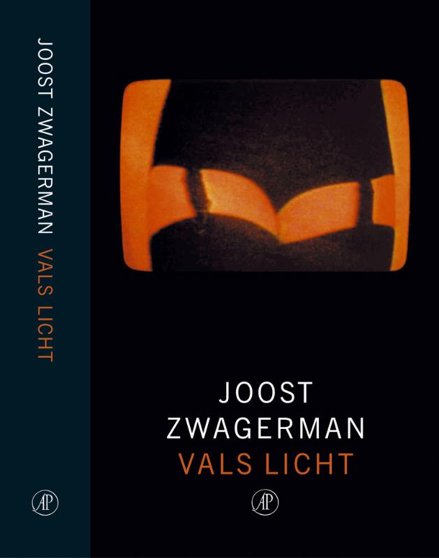 Omslag van Vals licht
