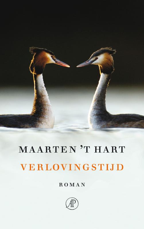 Omslag van Verlovingstijd