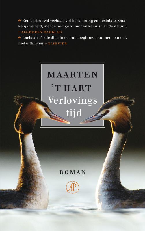 Omslag van Verlovingstijd