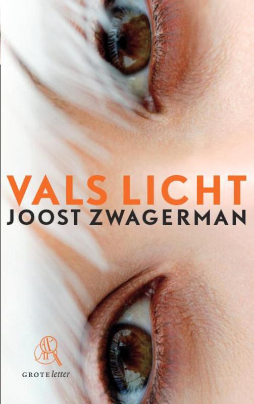 Omslag van Vals licht