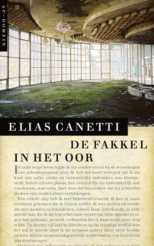 Omslag van De fakkel in het oor