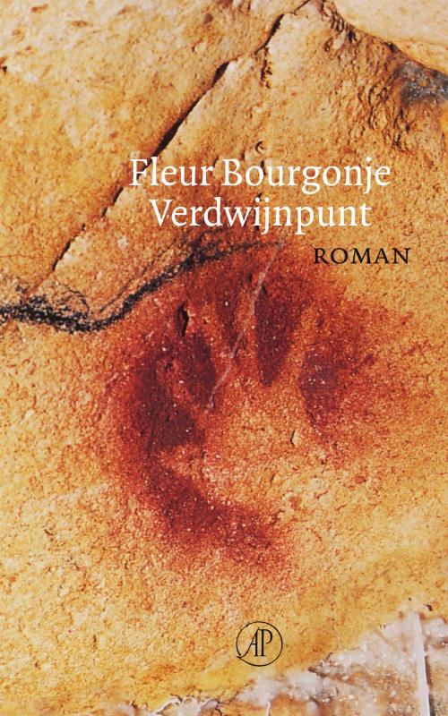 Omslag van Verdwijnpunt