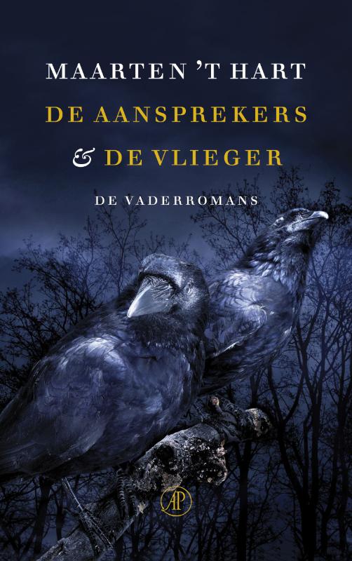 Omslag van De aansprekers & De vlieger
