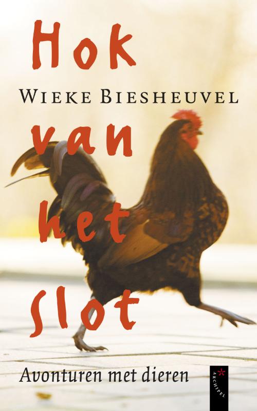 Omslag van Hok van het slot
