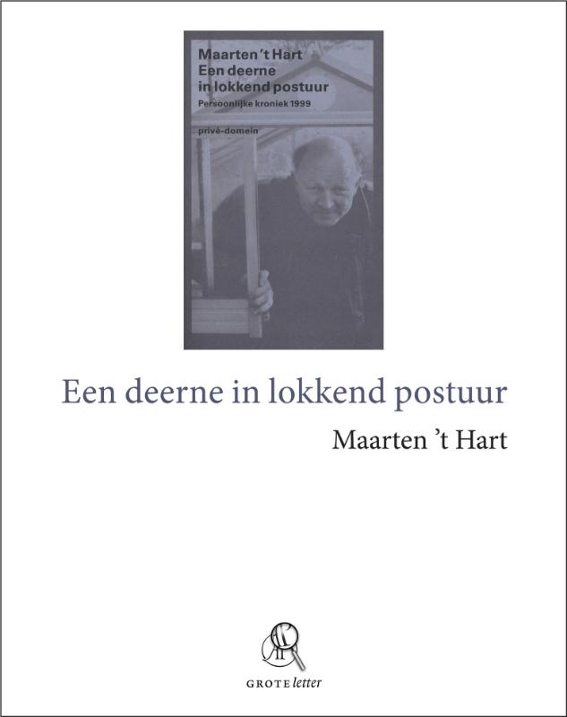 Omslag van Een deerne in lokkend postuur (grote letter)