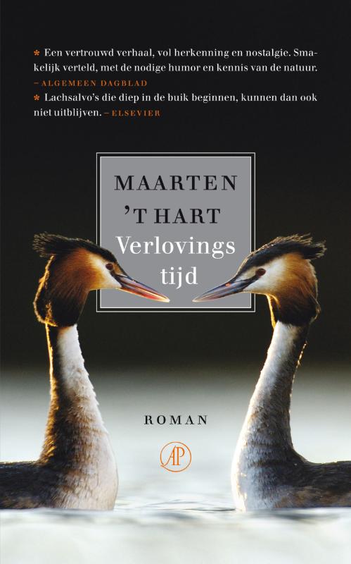 Omslag van Verlovingstijd