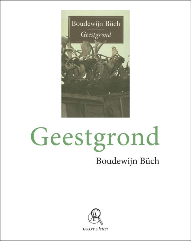 Omslag van Geestgrond