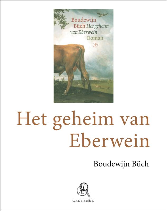 Omslag van Het geheim van Eberwein