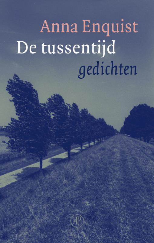 Omslag van De tussentijd