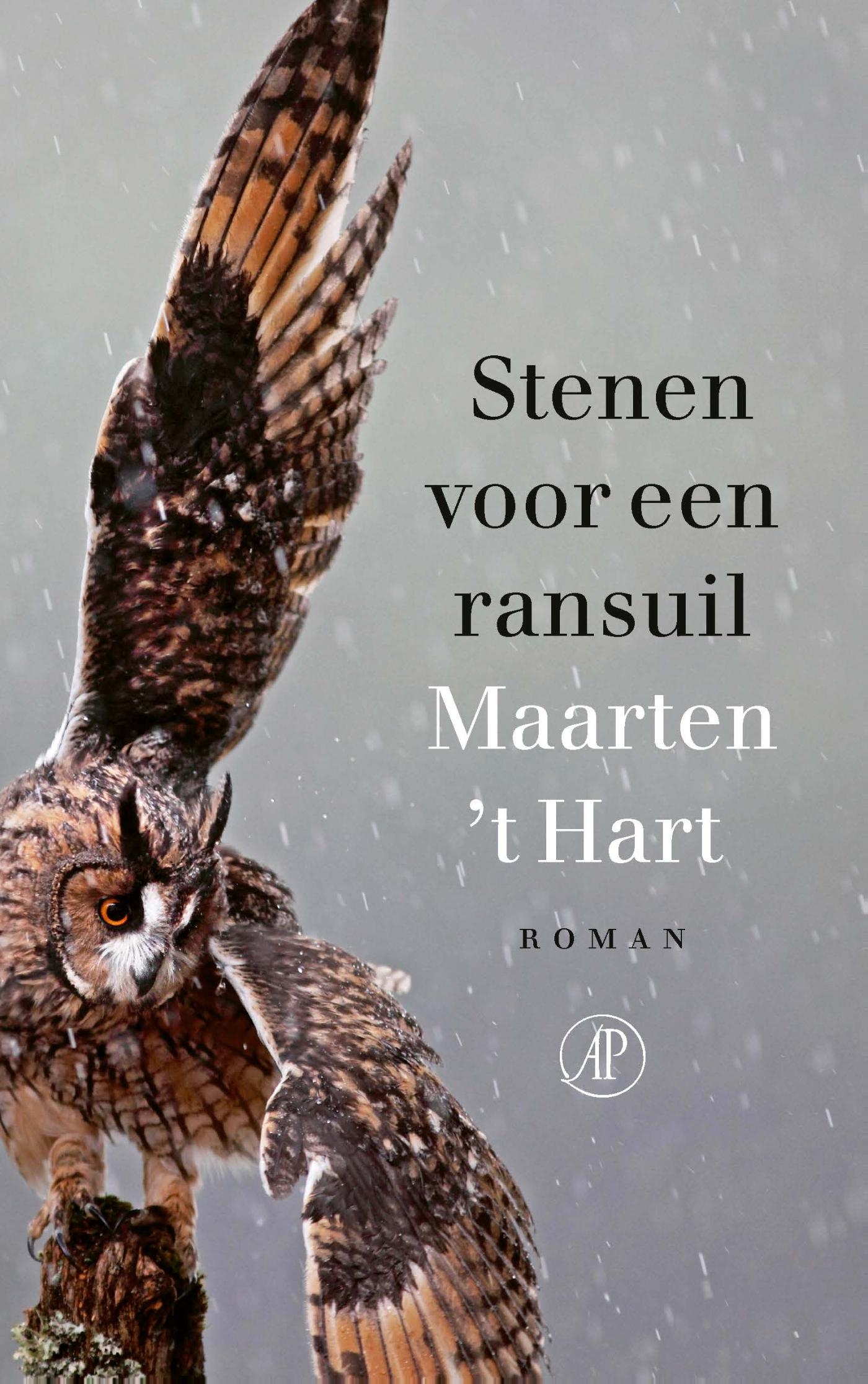 Omslag van Stenen voor een ransuil