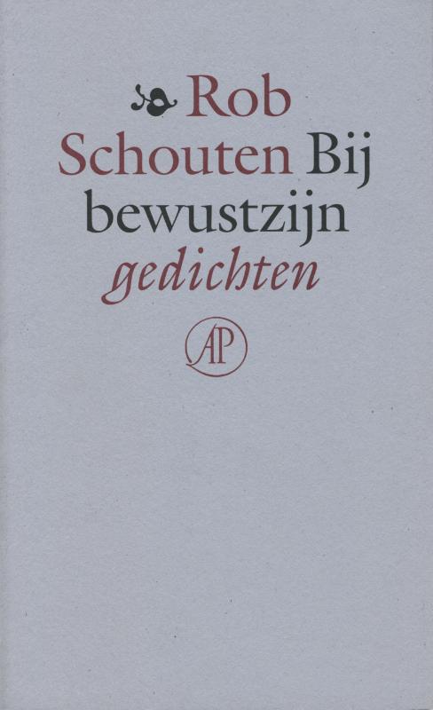 Omslag van Bij bewustzijn
