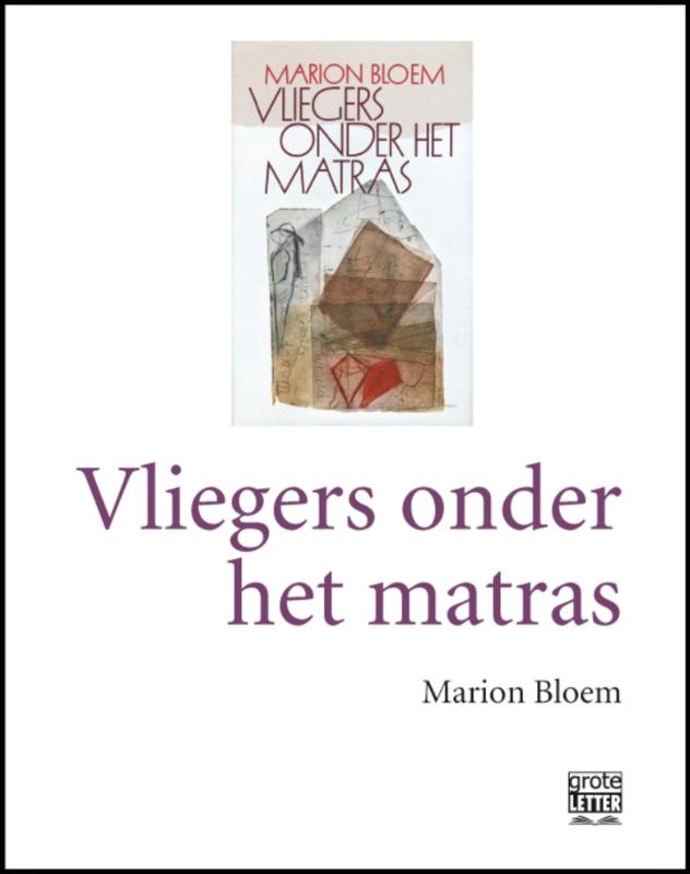 Omslag van Vliegers onder het matras - grote letter