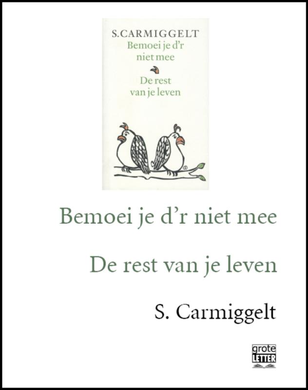 Omslag van Bemoei je d'r niet mee & De rest van je leven - grote letter