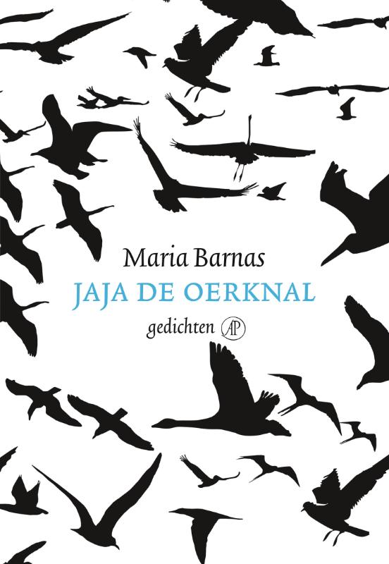 Omslag van Jaja de oerknal