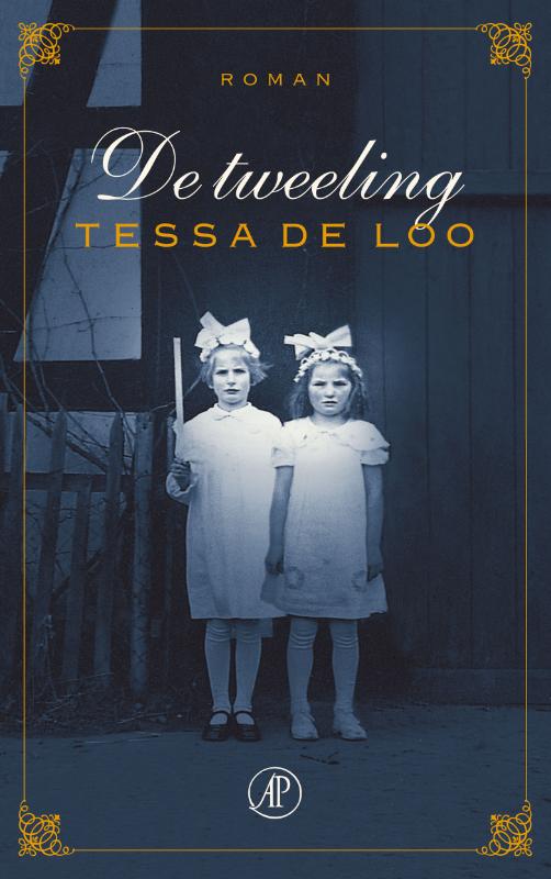 Omslag van De tweeling