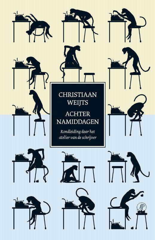 Omslag van Achternamiddagen