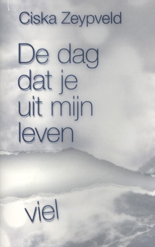 Omslag van De dag dat je uit mijn leven viel