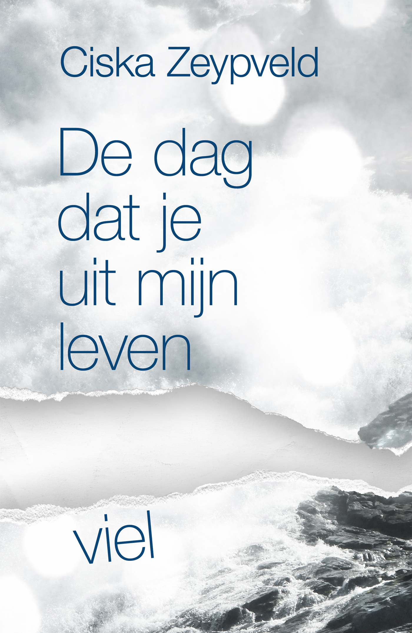 Omslag van De dag dat je uit mijn leven viel