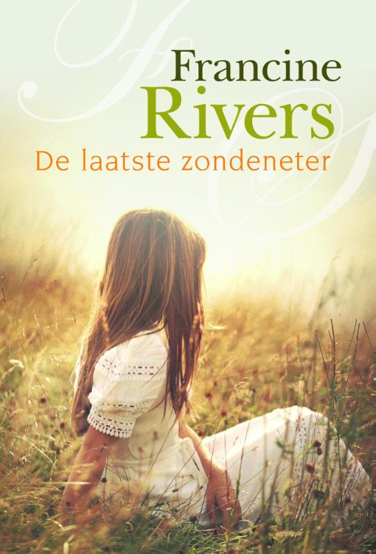 Omslag van De laatste zondeneter