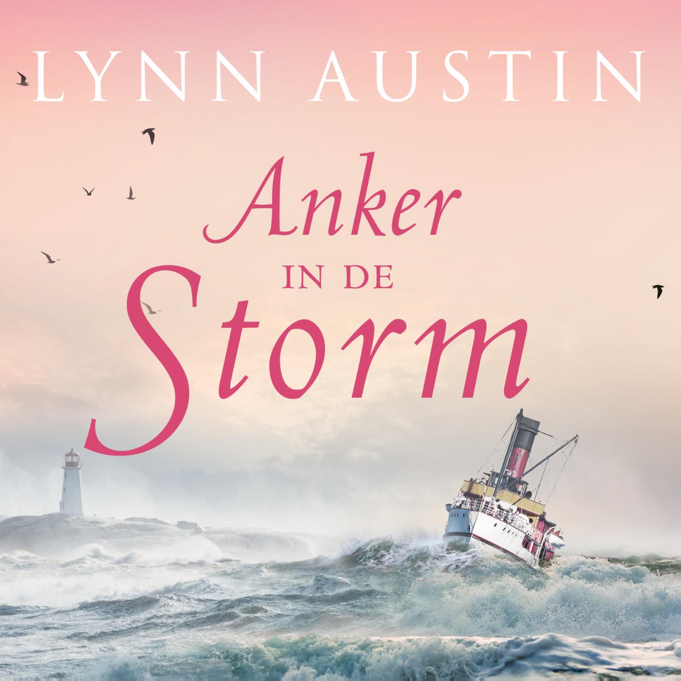 Omslag van Anker in de storm