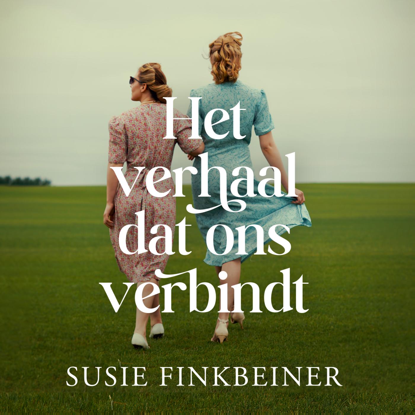Omslag van Het verhaal dat ons verbindt