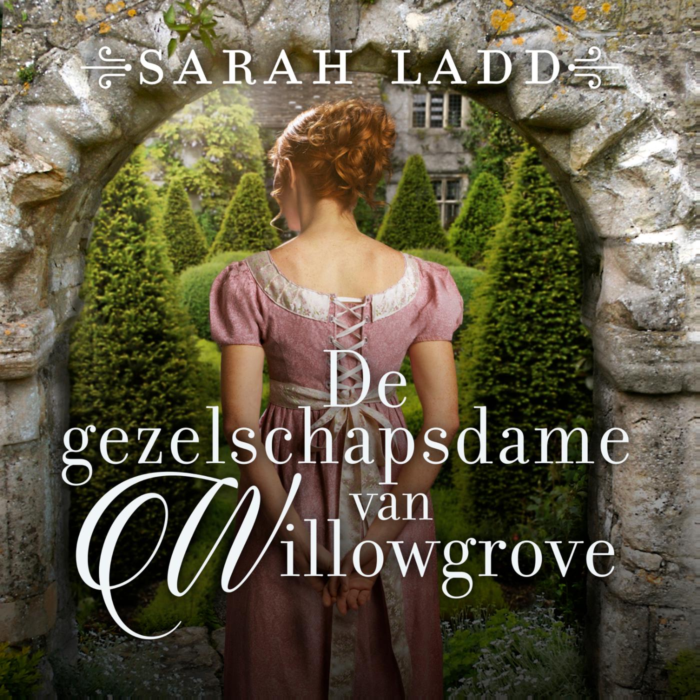 Omslag van De gezelschapsdame van Willowgrove