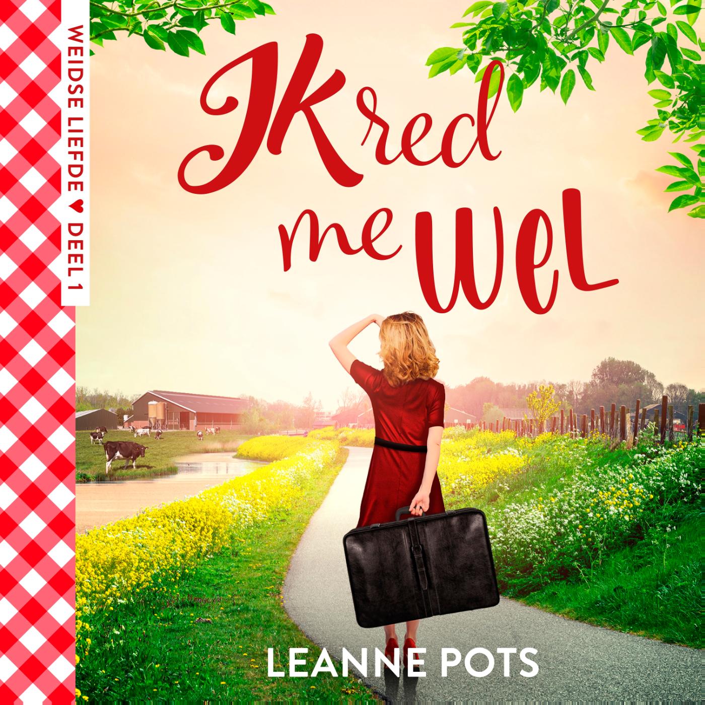 Omslag van Ik red me wel