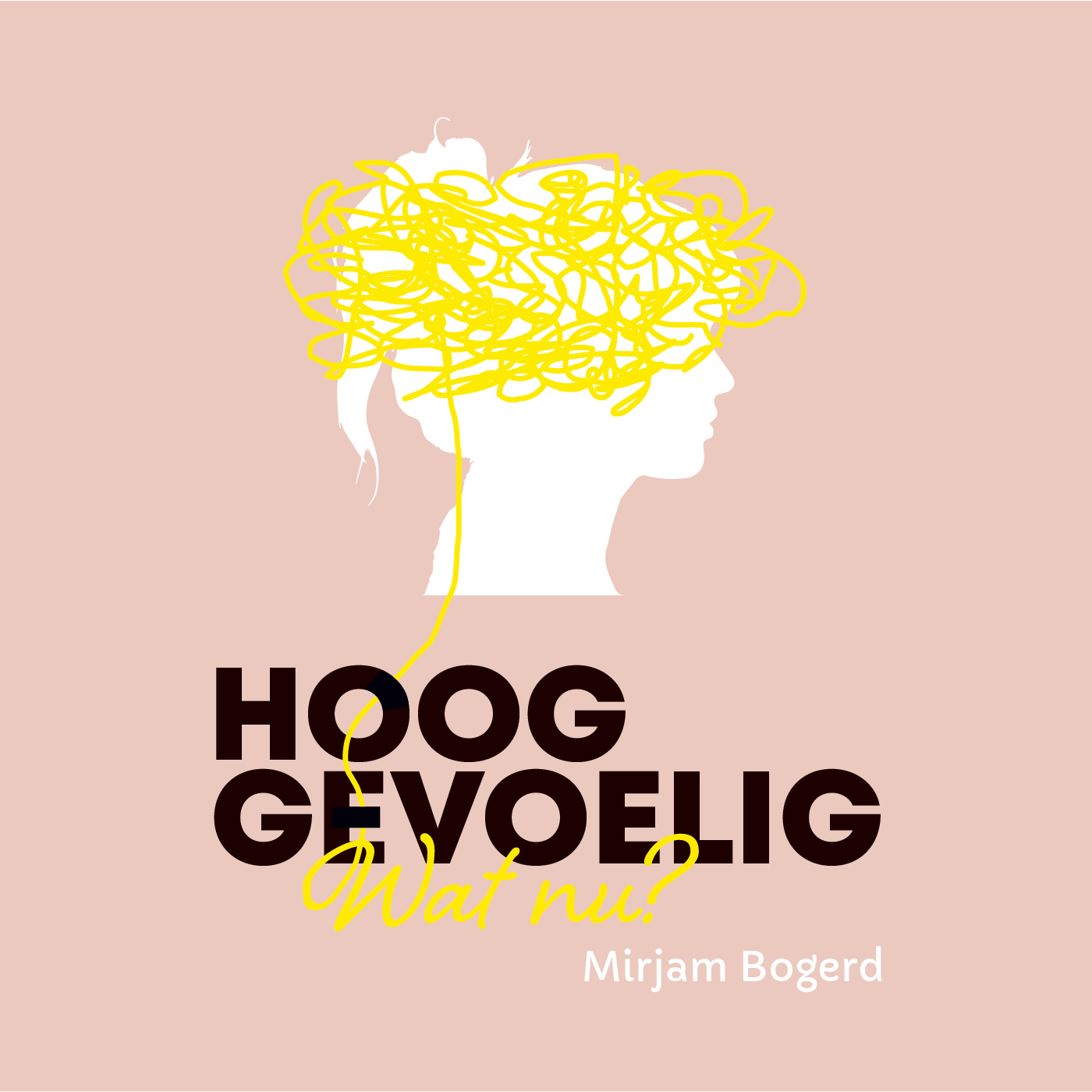 Omslag van Hooggevoelig, wat nu?