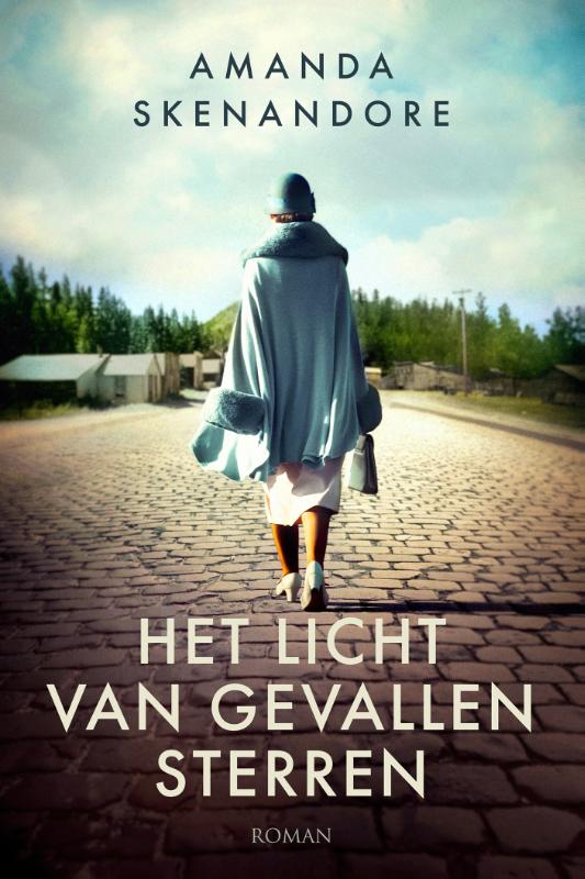 Omslag van Het licht van gevallen sterren