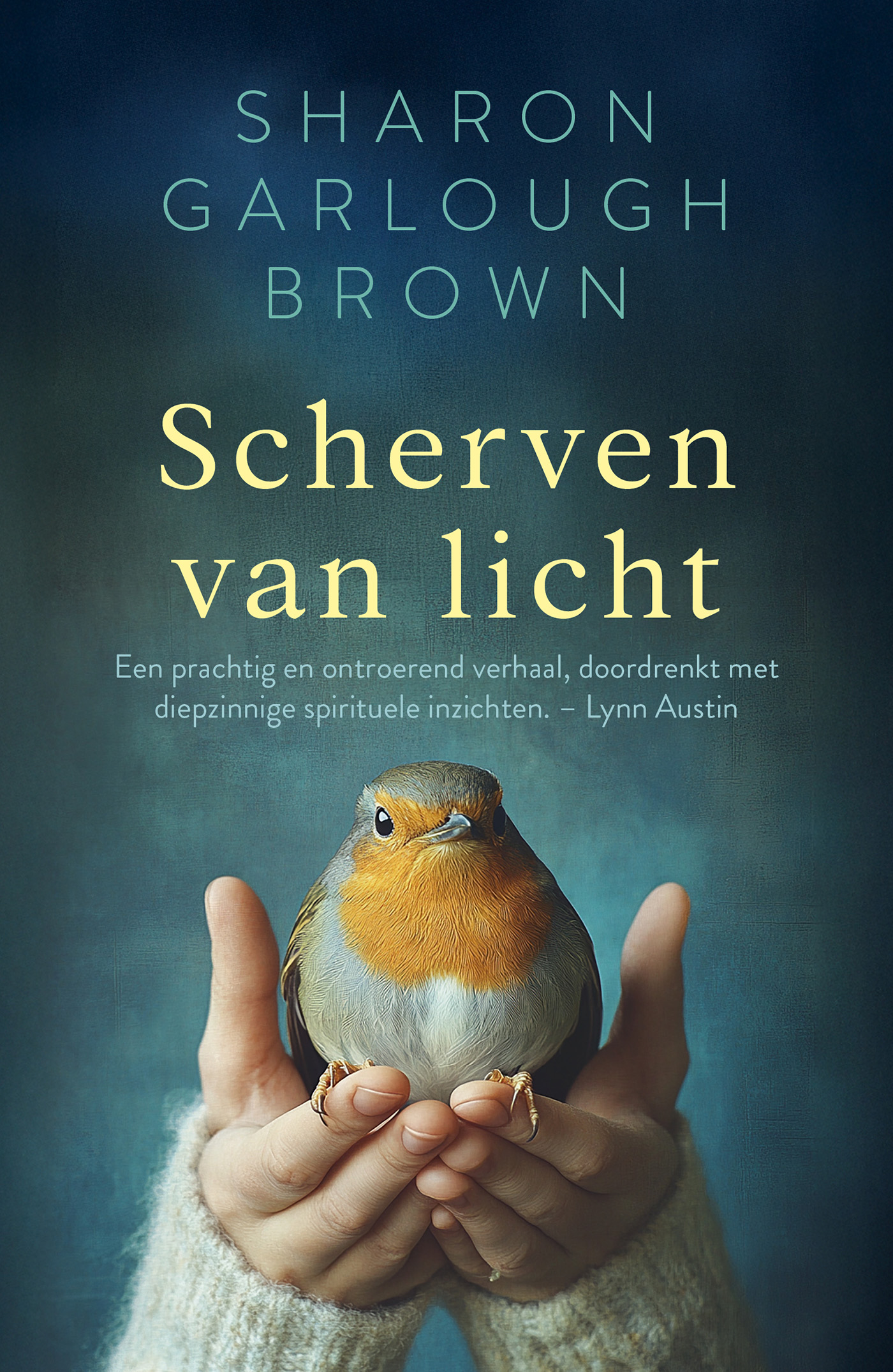 Omslag van Scherven van licht