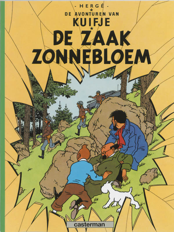 Omslag van 17 de zaak zonnebloem