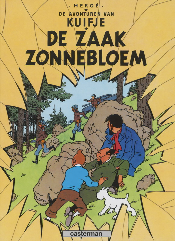 Omslag van 17 de zaak zonnebloem