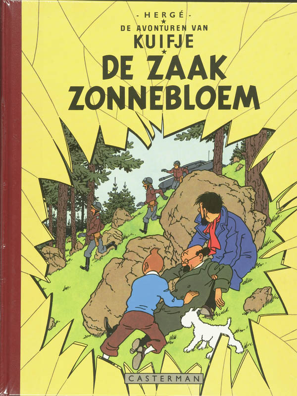 Omslag van De zaak Zonnebloem