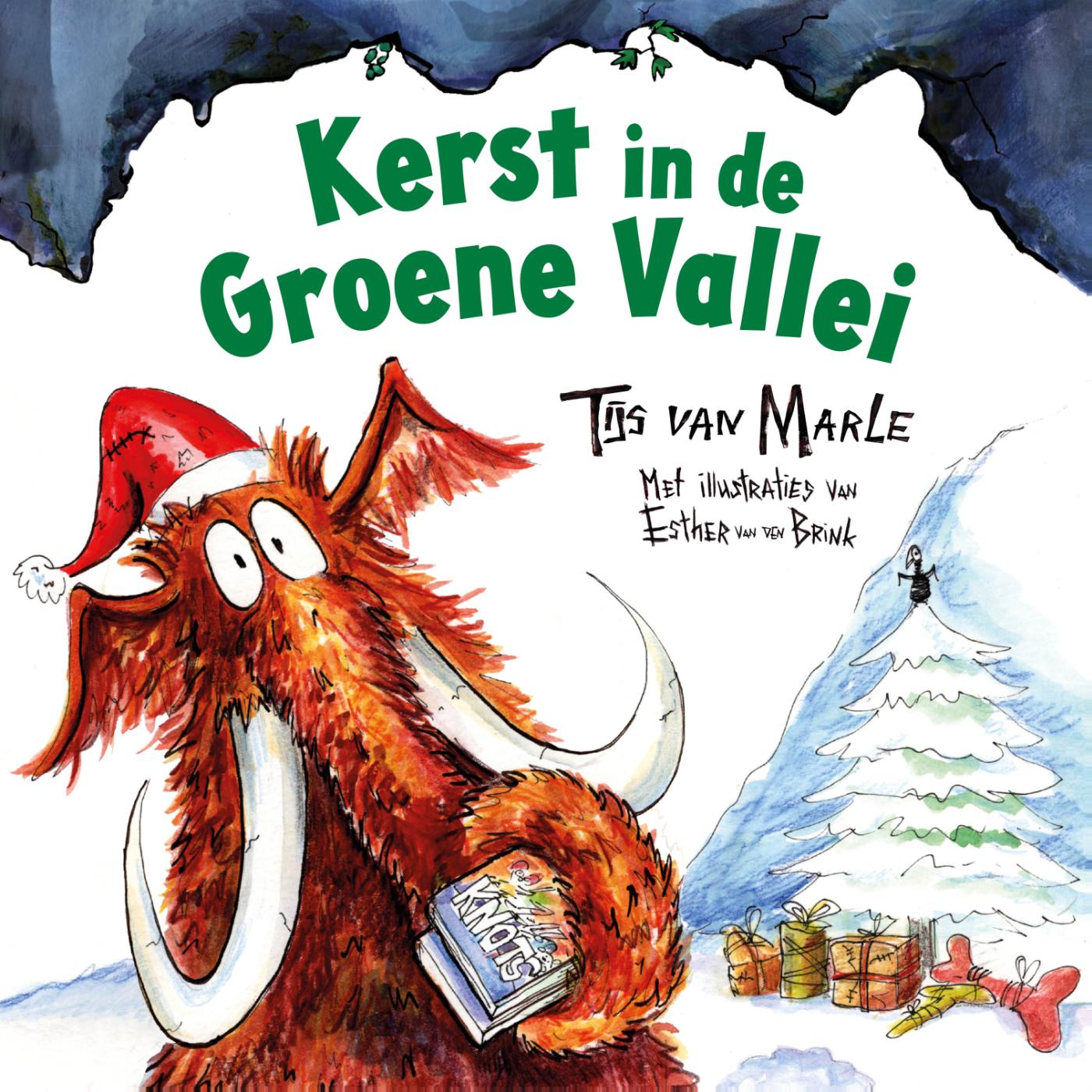 Omslag van Kerst in de Groene Vallei