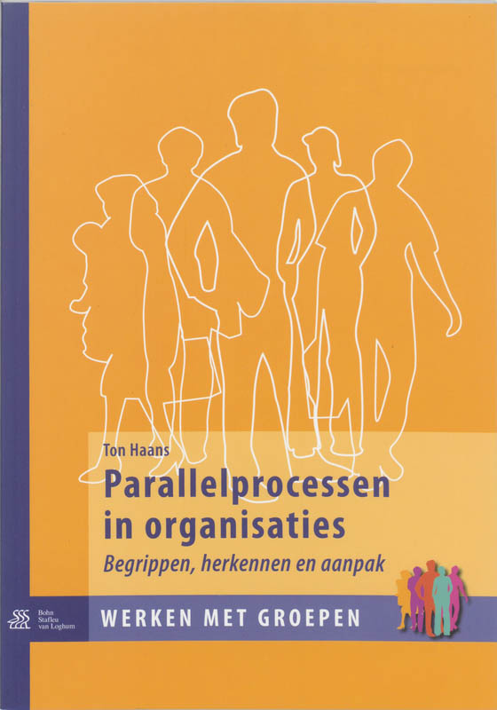 Omslag van Parallelprocessen in organisaties